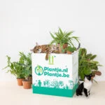 Katvriendelijke Plantenbox – 1