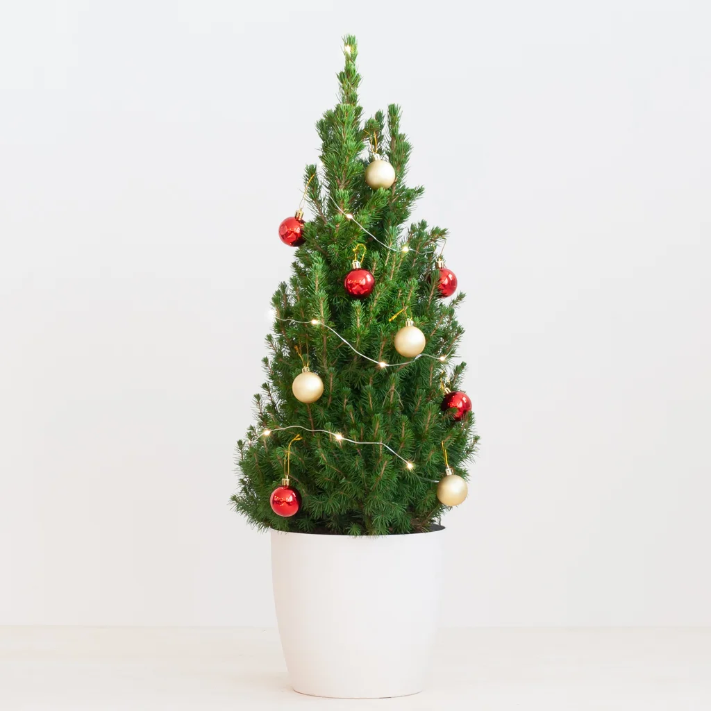 Kerstboom - DIY