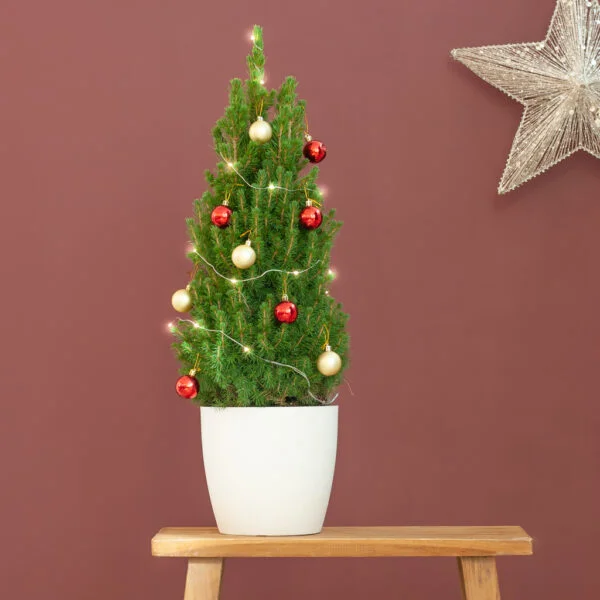 Kerstboom DIY
