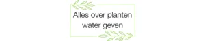 planten water geven