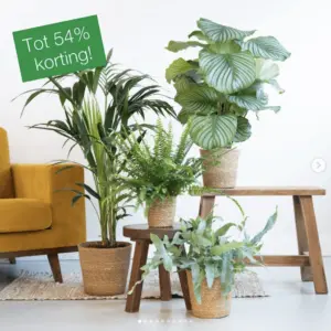 Instagram Plantenbox