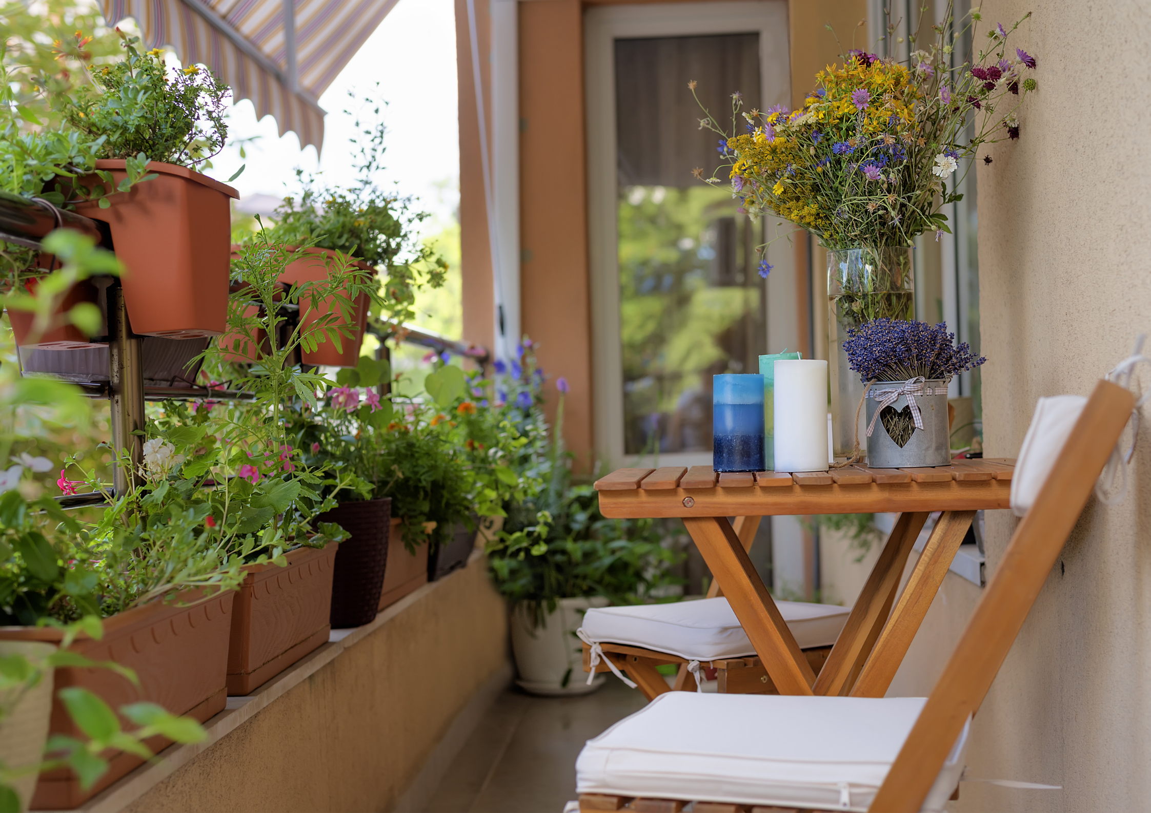 Beschikbaar Azijn strijd Balkonplanten: ga voor een groen balkon - Plantje.nl