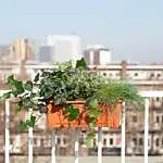 Balkon plantenbak