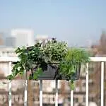 Balkon plantenbak