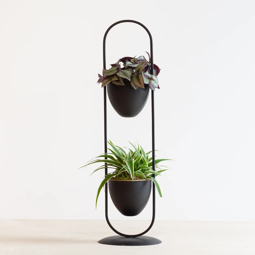 fusion color plant stand-[1024]