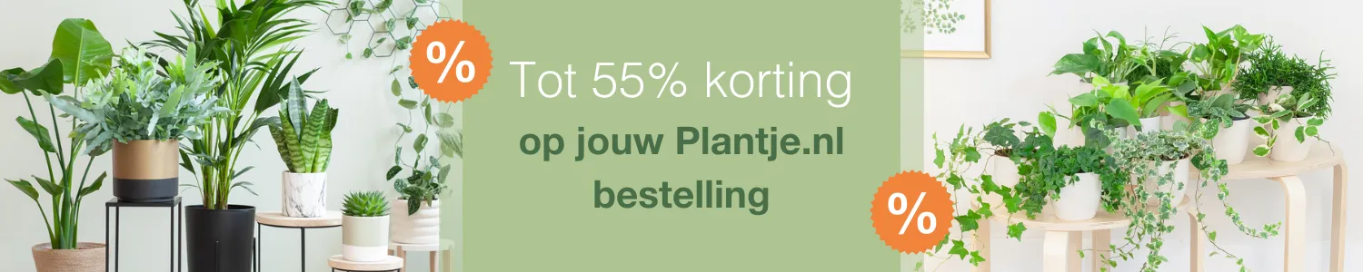 Plantje.nl kortingscode