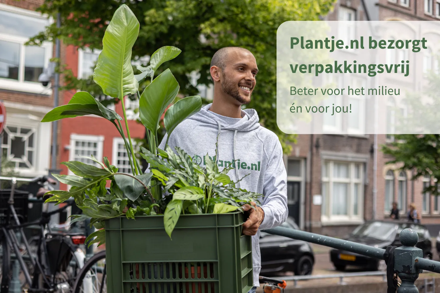 Bruidegom zeven vaas Verpakkingsvrij planten bezorgen - Plantje.nl