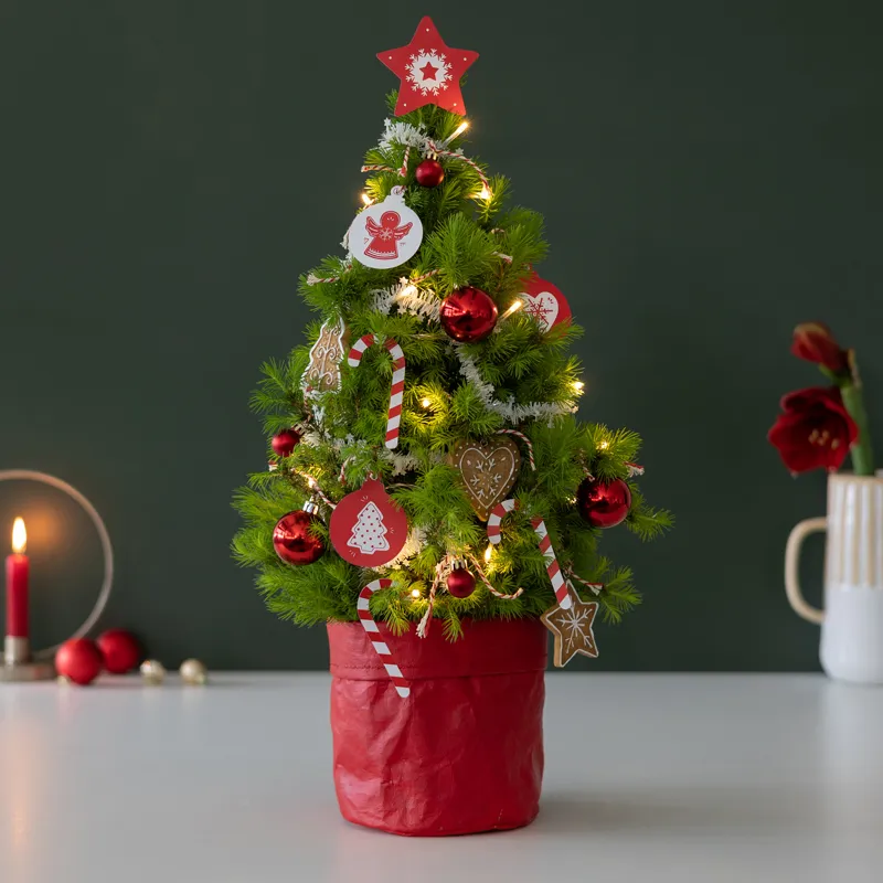 1.AB1023-XMAS-TREE-RED-L-christmas-kerst-boom-cadeau-rrod-traditioneel-origineel-per-post-bloompost[800]