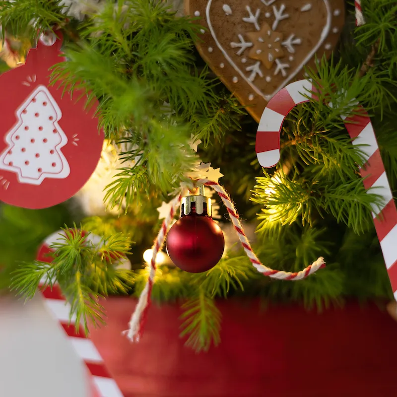 5.AB1023-XMAS-TREE-RED-L-christmas-kerst-boom-cadeau-rrod-traditioneel-origineel-per-post-bloompost[800]