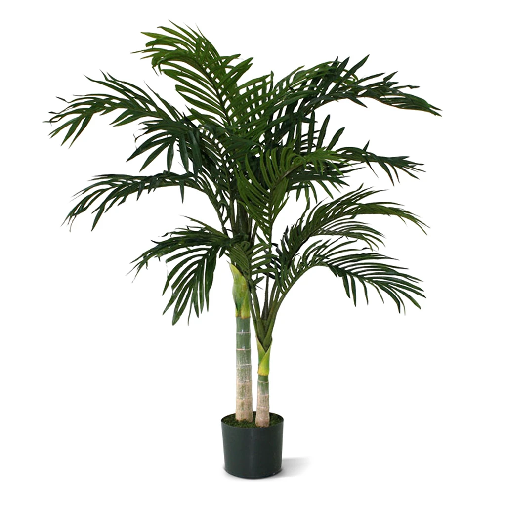 170312 Golden Cane Areca palm 120 cm