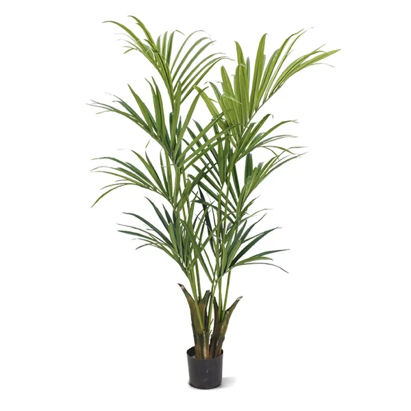 Kentia Palm kunstplant
