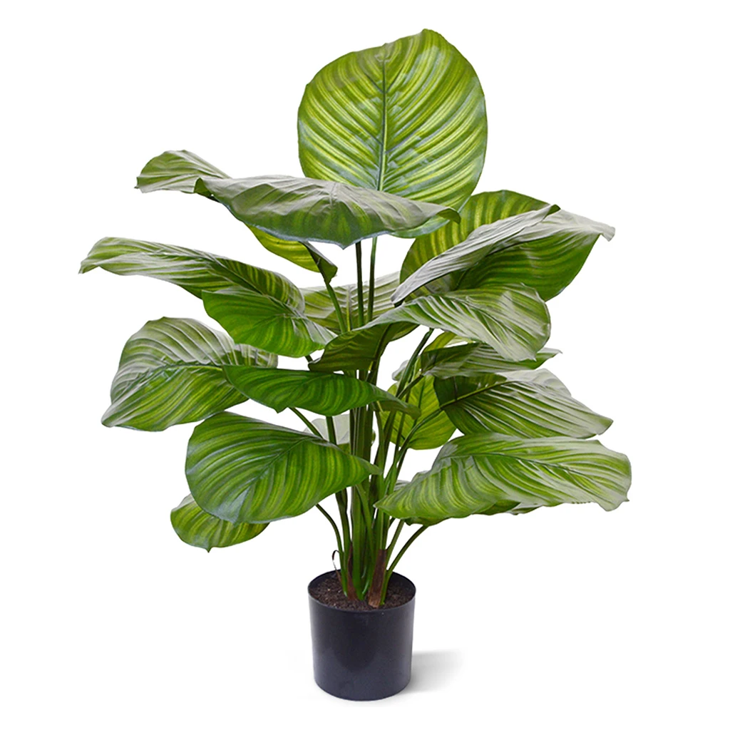 Calathea Fasciata 70 cm - Kunstplant