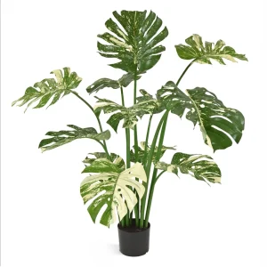 Kunstplant Monstera Variegata