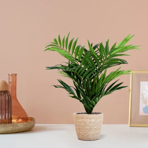 Parlour Palm Kunstplant