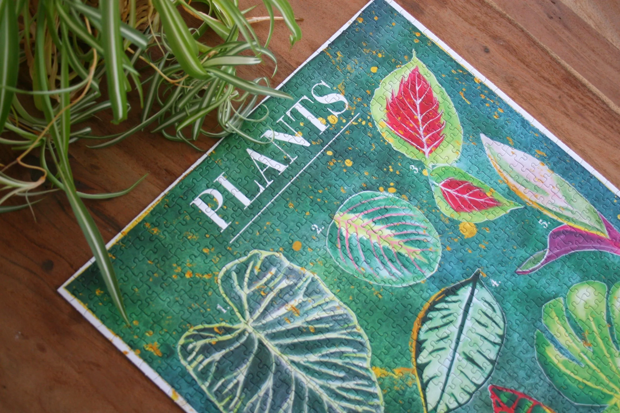Planten puzzel - 1000 stukjes