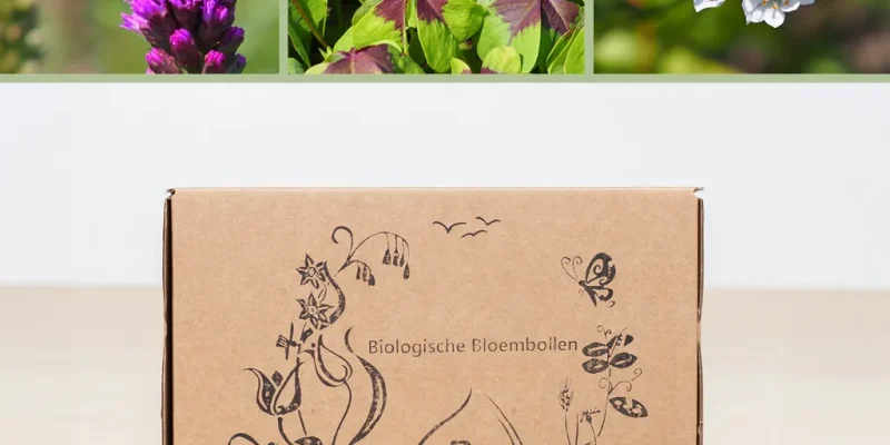 Bio zomerbloemen mix voor bijen
Brievenbuspakketje 🐝🦋