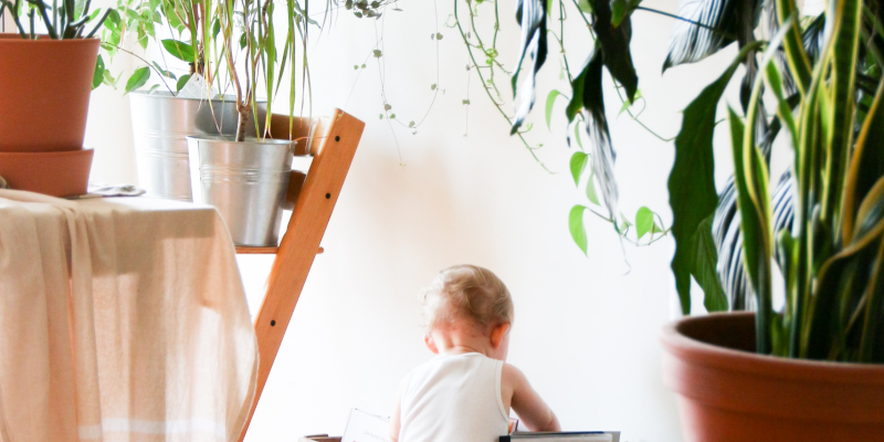 Niet giftige planten voor kinderen