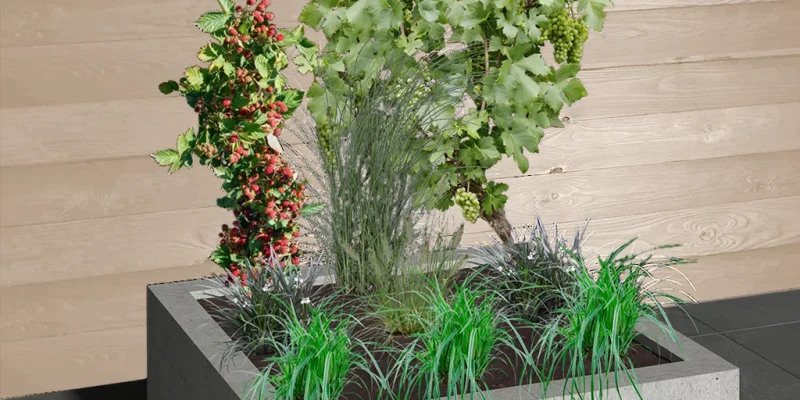 Borderpakket Trendy Tuin - 1m²
9 planten