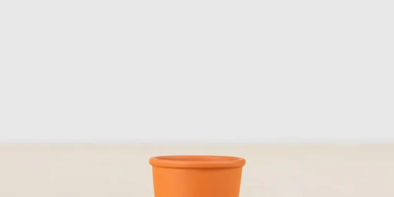 Cordoba
Terracotta potje voor mini plantje