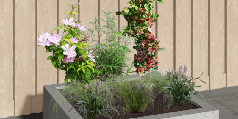 Borderpakket Rustgevende Tuin - 1m²
9 planten