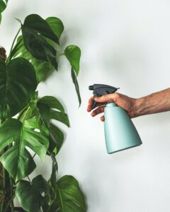 ongedierte op planten