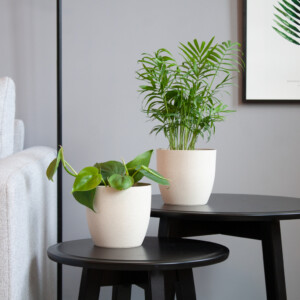 Groene Thuiswerk Duo
