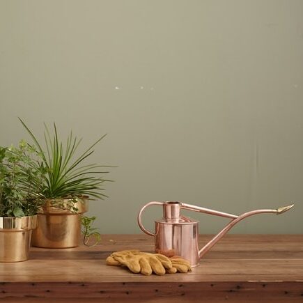 planten water geven