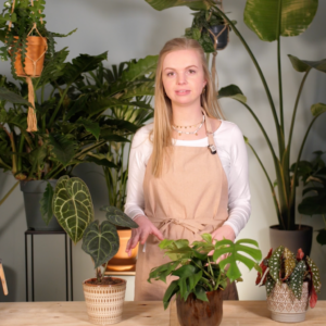Planten styling tips