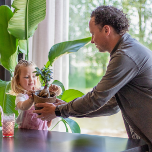 bonsai vaderdag