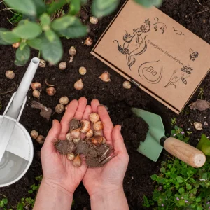 bio zomerbloemen mix