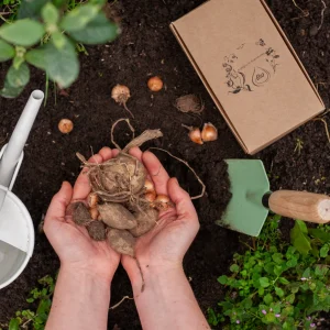 bijenbloemen mengsel