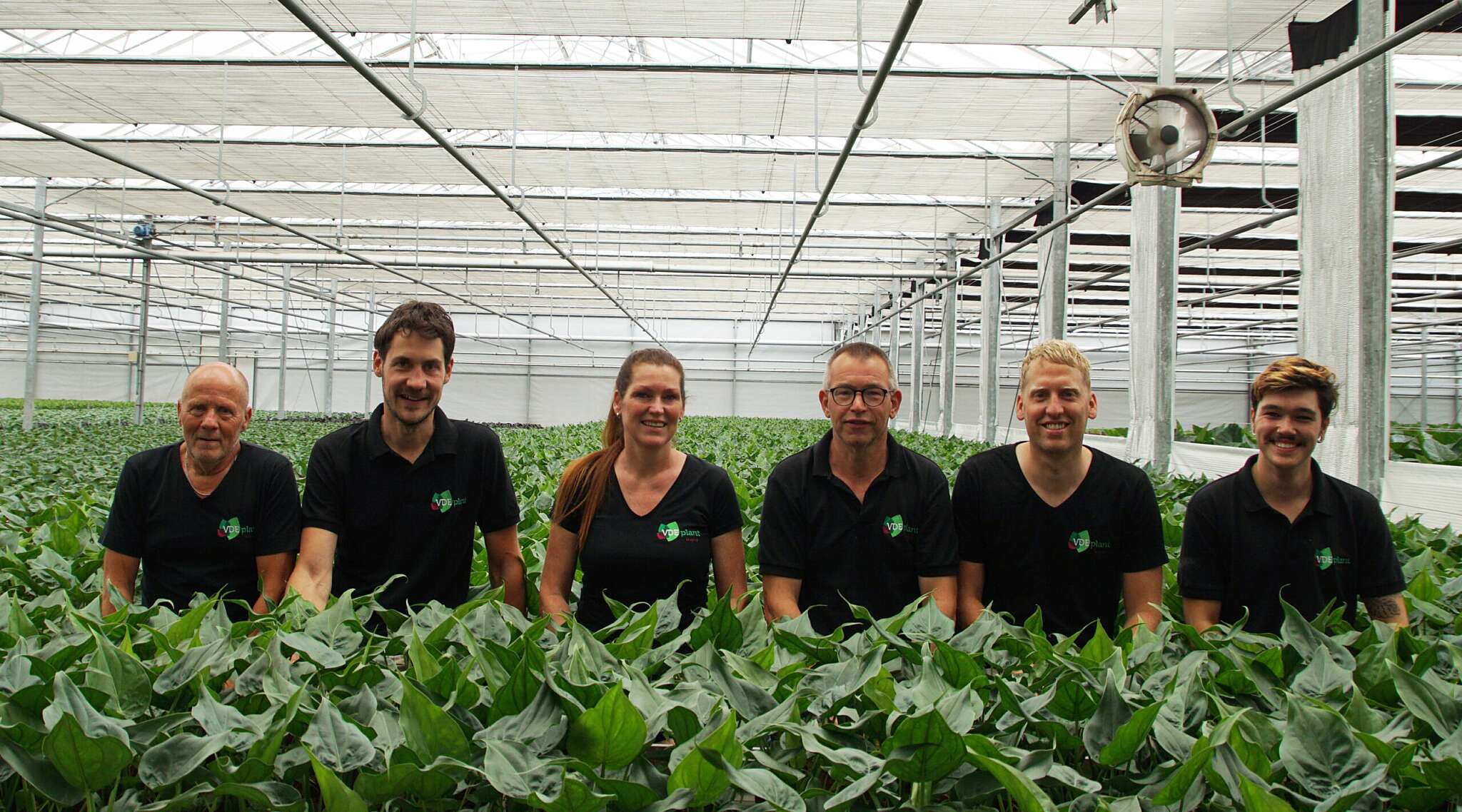 Een kijkje in de kas: Smit Kwekerijen en VDE Plant Een kijkje in de kas: Smit Kwekerijen en VDE Plant